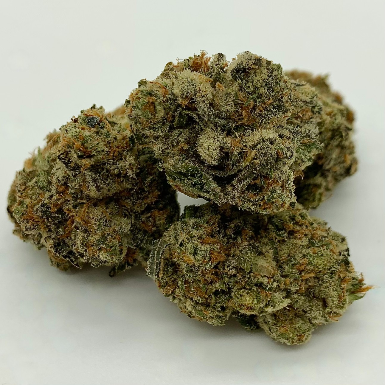 Apricot