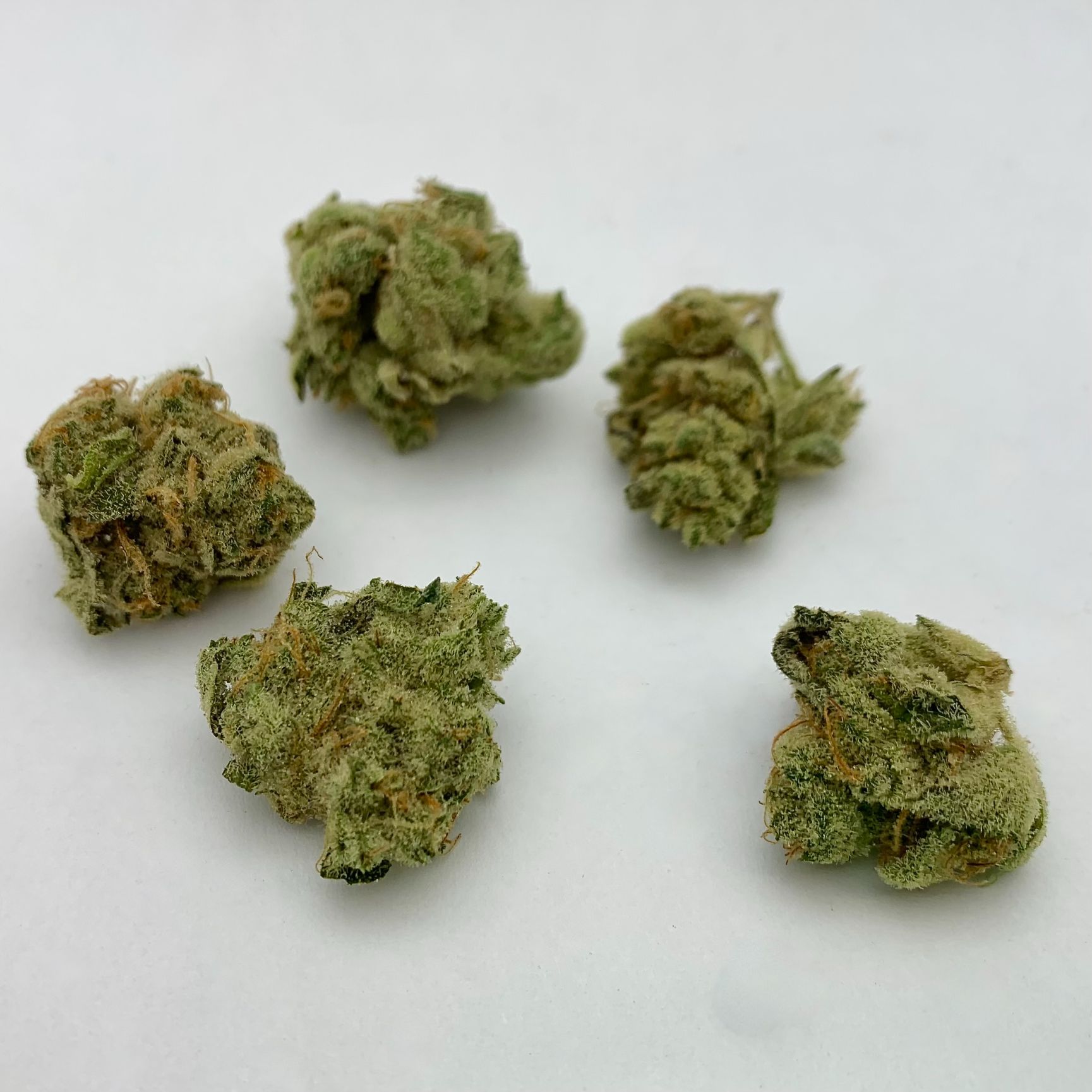 Maui Mango Diesel Sm.